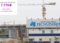Lộ diện danh tính hai nhà đầu tư ngoại muốn mua 220 triệu cổ phiếu, cổ phiếu Xây dựng Hòa Bình tăng kịch trần