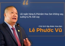 Từng tuyên bố lãi ngân hàng 6,5%/năm thì không vay, tình hình vay nợ của Hoa Sen hiện ra sao?