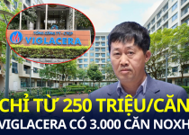 Bán 3.000 căn nhà ở xã hội với giá 8-10 triệu đồng/m2, Viglacera đang kinh doanh ra sao?