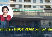 Thành viên Hội đồng quản trị VEAM xin từ nhiệm