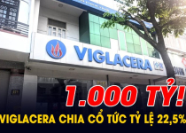 Cổ đông của Viglacera sắp nhận thêm tin vui