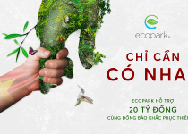 Nhà sáng lập Ecopark ủng hộ 20 tỷ đồng chung tay cùng đồng bào vượt qua bão lũ