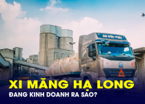 Công ty xi măng có loạt sếp lớn vướng vòng lao lý đang kinh doanh ra sao?