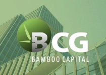 Bamboo Capital lý giải việc chậm nộp báo cáo kiểm toán, cổ phiếu mất 85% giá trị dù lợi nhuận tăng vọt