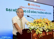 Con trai Bầu Đức muốn chi tiếp trăm tỷ mua thêm 25 triệu cổ phiếu HAG