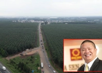 Hoa Sen vừa làm được điều chưa từng có trong nhiều năm trở lại đây