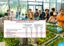 Tháng đầu tiên năm 2026, số lượng doanh nghiệp kinh doanh bất động sản thành lập mới tăng mạnh