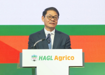 HAGL Agrico lỗ lũy kế hơn 10.000 tỷ, bị kiểm toán “báo động”
