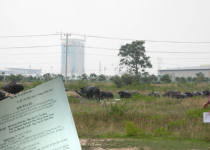 Bình Dương lật bài, điểm sai phạm của ông Huỳnh Uy Dũng