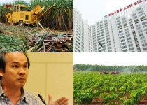 Sốc nặng với độc chiêu giá rẻ của bầu Đức