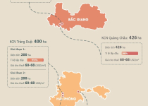 [Infographic] Quỹ đất “khủng” của đại gia Đặng Thành Tâm