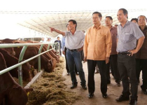 Bầu Đức: 'Tôi không ngại TPP'