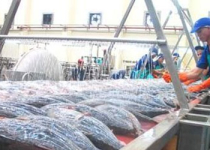 Tăng lương tối thiểu vùng làm giảm thu nhập