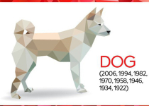 Nhìn lại 1 năm kinh doanh của các doanh nhân tuổi Tuất: Người thăng hoa cất cánh, người kinh doanh trong khó khăn