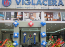 Viglacera phát hành cổ phiếu lần đầu ra công chúng