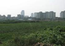 KBC: Xin khởi công dự án Lotus trong quý I 