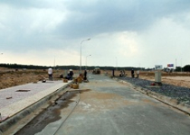 Con gà đẻ trứng vàng đang chết 