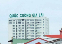 Nhìn lại một năm “thê thảm” của Công ty Cường “đô la”