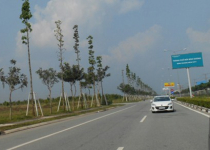 Ông Lê Thanh Cung – Chủ tịch UBND tỉnh Bình Dương: “Cái đó ông Dũng nói bậy, tự bịa đặt, lừa đảo, cố ý làm trái đó”