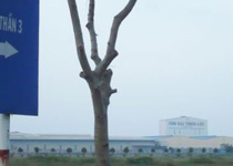 Vụ ông Huỳnh Uy Dũng tố cáo chủ tịch tỉnh Bình Dương - Bài 1: Ai cho phép Đại Nam biến khu công nghiệp thành đất ở?