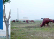 Bài 5: Vì sao Bình Dương “cắt xén” nhiều đoạn khi báo cáo Thủ tướng?