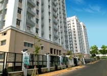 Thuduc House: Doanh thu thuần giảm vì hàng bán bị trả lại nhiều