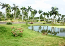 Phát Đạt: Lợi nhuận quý 3 tăng vọt nhờ bán đất nền