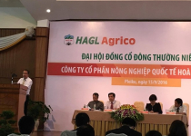 Để giải quyết nợ, Bầu Đức có thể sẽ bán 20.000 ha cao su cho Trung Quốc