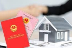 Trường hợp nào được cấp Giấy chứng nhận và miễn tiền sử dụng đất?