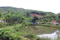 Căn cứ xác định là đất vườn, ao gắn liền đất ở