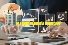 Làm thế nào để tra cứu mã định danh điện tử bất động sản?