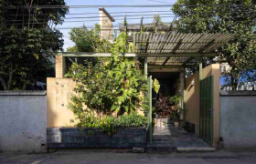 Hành trình hồi hương: Điểm chạm thiên nhiên trong nhà 2 tầng Hà Nội cho người cao tuổi