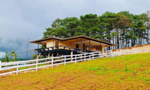 Kiwuki Village: Dự án Biệt thự tại Bảo Lộc