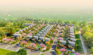 Sakura Garden: Dự án đất nền tại tỉnh Lâm Đồng 