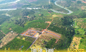 Tân Lạc Vàng: Dự án đất nền tại Lâm Đồng