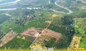 Tân Lạc Vàng: Dự án đất nền tại Lâm Đồng