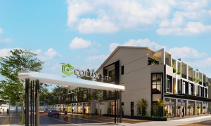 Ecolux City: Dự án nhà phố tại TP.HCM