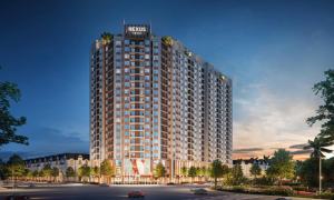 Nexus Tower: Dự án căn hộ tại Phú Thọ