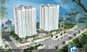 "Đại Cát - Đại Tài" với Long Phụng Apartment