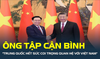 Ông Tập Cận Bình: "Trung Quốc hết sức coi trọng quan hệ với Việt Nam"