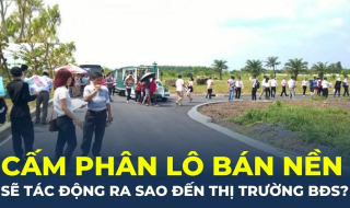 Talkshow: 104 thành phố, thị xã bị cấm phân lô bán nền, tác động ra sao đến thị trường bất động sản?