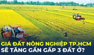 Giá đất nông nghiệp TP.HCM sẽ tăng gần gấp 3 đất ở khi áp dụng bảng giá đất mới?