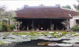 Ngôi nhà vườn rộng hơn 4.000 m2 ở Huế