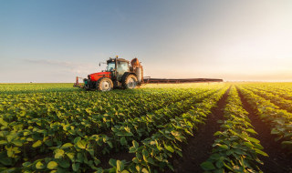 Bất động sản nông nghiệp: Miền đất hứa giàu tiềm năng