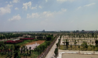 Tiến độ dự án Hòa Phát Forestar