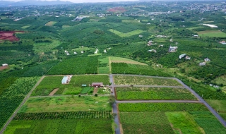 Hình ảnh thực tế khu đất nền The Ocha Lâm Đồng
