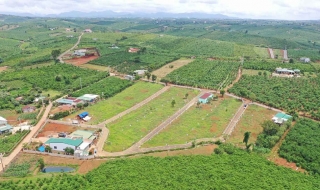 Hình ảnh thực tế dự án Mimosa Garden Lâm Đồng