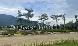 Tiến độ dự án The Forest Villas Hòa Bình tháng 08/2023