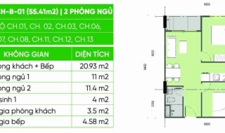 Mặt bằng căn hộ dự án EcoHome Phú Hội