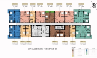 Layout mặt bằng tháp G1 và G2